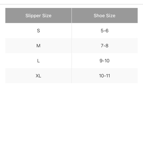 INC INTERNATIONAL CONCEPTS Gift Bag Slippers - Picture 4 of 10